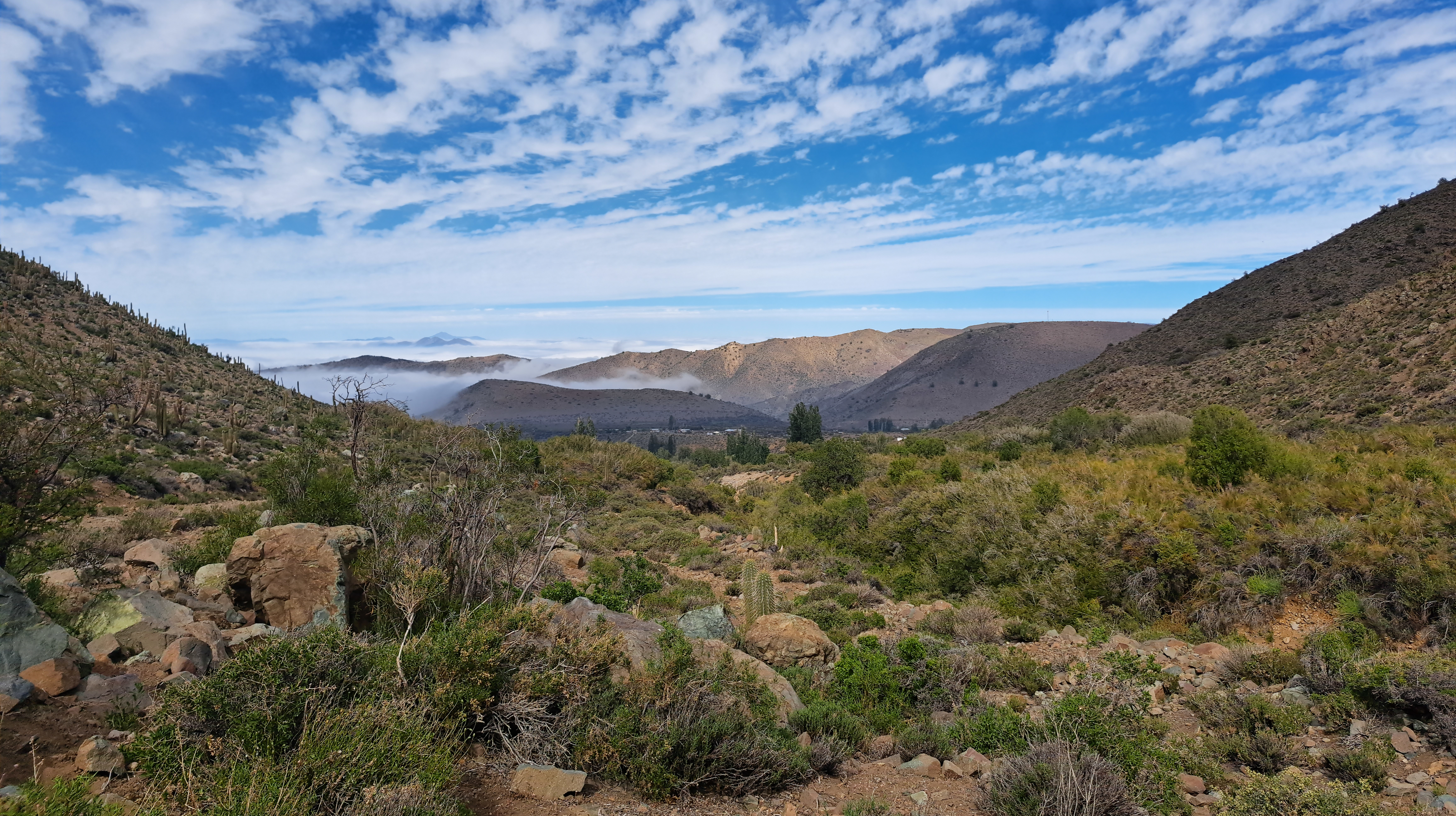 Mediterranean landscape in central Chile