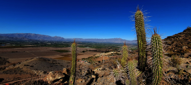 Landscape in central Chile